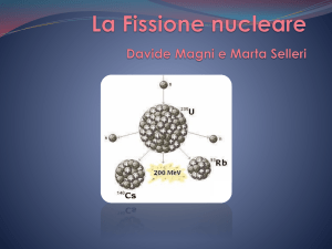 La Fissione nucleare Davide Magni e Marta Selleri