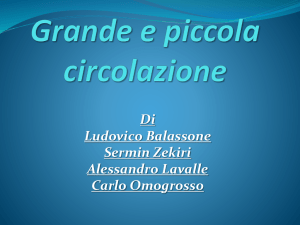 Grande e piccola circolazione