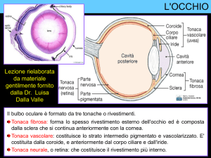 Introduzione