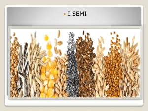 I SEMI
