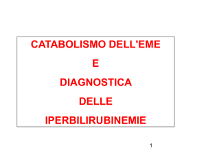 Diapositiva 1 - Axada Catania