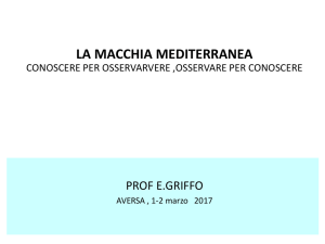 Diapositiva 1 - Liceo Statale N. Jommelli