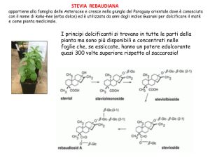steviol_glicosidi