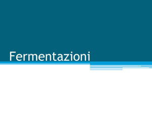 Fermentazioni (ppt)