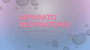 L`apparato respiratorio V A – Primaria Manzoni