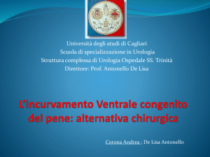 63-A-Corona - Società Urologia Nuova