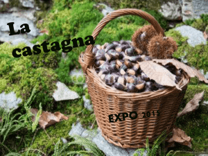 La castagna