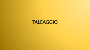 taleaggio - Stefani