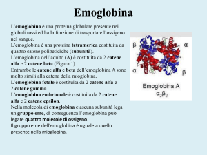 Eritrocita:scambi gassosi