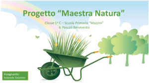 Dal seme alla vita (Powerpoint) - Classe 1 C