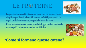 Proteine File