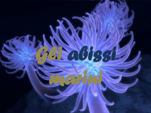 Gli Abissi marini
