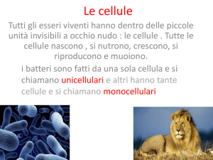 le cellule - Scuola Primaria e dell`Infanzia "Nicola Fornelli"