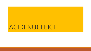 ACIDI NUCLEICI