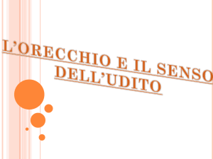 l`orecchio e il senso dell`udito