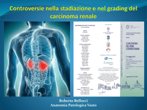 Invasione del seno renale