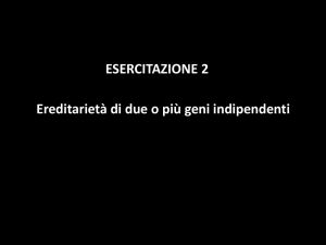 Esercitazione 2