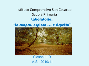 Il bosco - maestra lucia