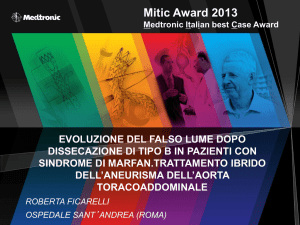 Mitic Award 2013