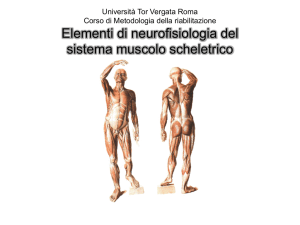 Università Tor Vergata Roma Corso di Metodologia della