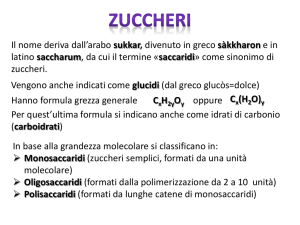 OH - Didascienze