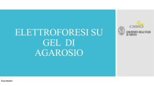 presentazione corsa elettroforetica