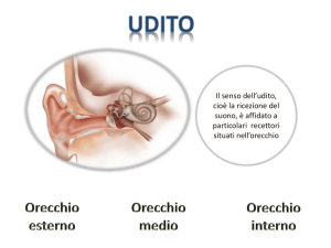 Diapositiva 1 - WordPress.com