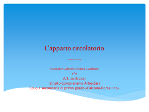 apparato circolatorio - Istituto Comprensivo Arbe Zara