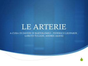 le arterie - Serafini – Di Stefano