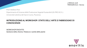 01. Stefano Poni @ Enovitis – Fieragricola 2016