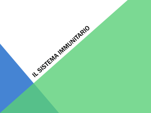Sist_imm_Presentaz