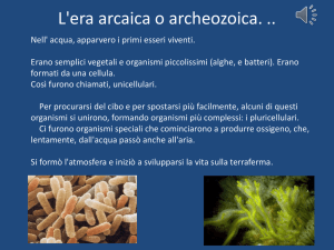 Presentazione standard di PowerPoint