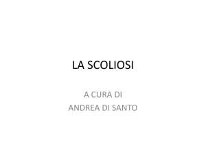 Diapositiva 1 - Serafini – Di Stefano