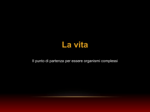 Progetto Evoluzionismo, Lezione I Seconda Parte
