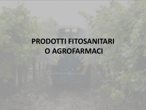 frasi
