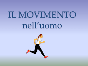 IL MOVIMENTO