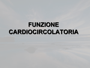 FunzioneCardioCircolatoria