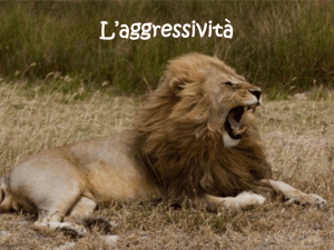 L*aggressività