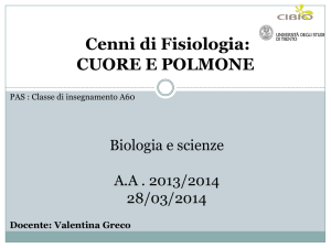 CUORE E POLMONE