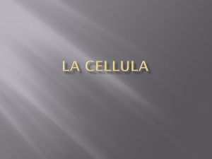 cellula - Istituto Comprensivo Villapiana