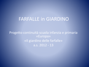 FARFALLE in GIARDINO