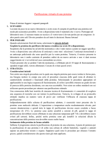 Purificazione virtuale di una proteina