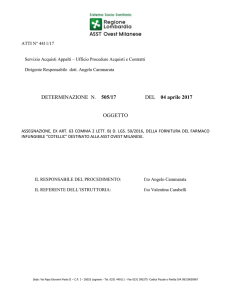 Via Papa Giovanni Paolo II - CP 3 - 20025