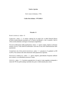 Salva la scheda come