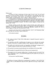 OGGETTO: Raccolta olive su piante di proprietà comunale, stagione