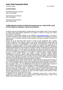 Precluso il diritto alla trasparenza per i clienti di SEL ed AE