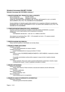 Scheda di sicurezza SALNET CLEAN