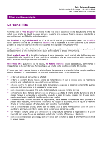 tonsillite.