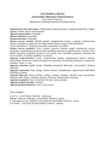 ANATOMIA UMANA