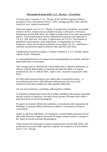 Meccanismi di azione della V.A.C. Therapy